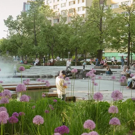 New In Fancy Neighborhood *