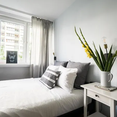 New In Fancy Neighborhood