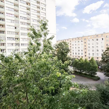 New In Fancy Neighborhood